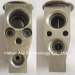 Auto A/C Expansion Valve Japanese T1015442JA Wholesale China